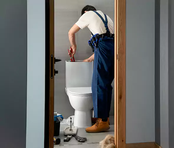 Professional Plumbers for Toilet Bowl Replacement in Quincy, MA: Schedule Affordable Toilet Replacement Services With Us