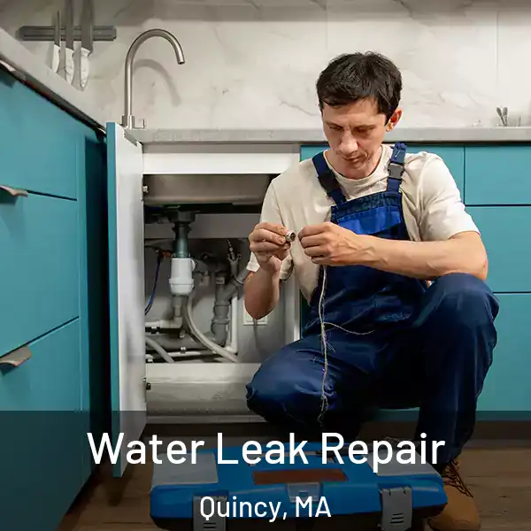  Water Leak Repair Quincy, MA